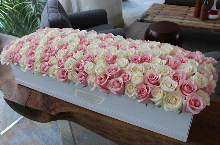101 ROZE I BELA RUŽA U KUTIJI CVECARA INFINITY BESPLATNA DOSTAVA ZA BEOGRAD 101 ROZE I BELA RUŽA U KUTIJI CVECARA INFINITY BESPLATNA DOSTAVA ZA BEOGRAD