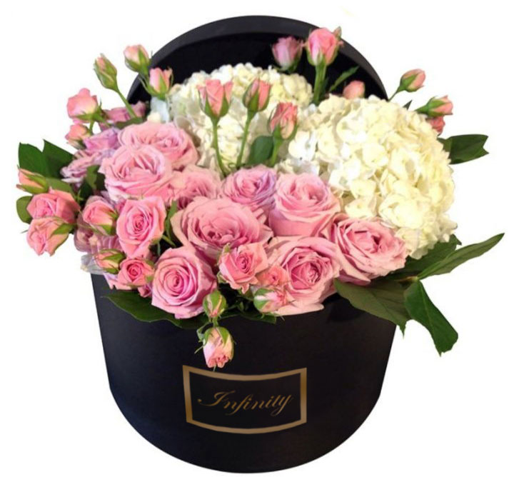 CVECE U KUTIJI HORTENZIJA I ROZE RUŽE U KUTIJI CVECARA INFINITY BESPLATNA DOSTAVA ZA BEOGRAD CVECE U KUTIJI HORTENZIJA I ROZE RUŽE U KUTIJI CVECARA INFINITY BESPLATNA DOSTAVA ZA BEOGRAD