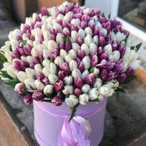 Lale u kutiji - Cveće u kutiji Cvećara Infinity Beograd