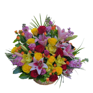 ŠARENO CVEĆE U KORPI