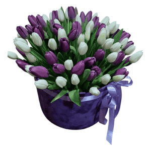 LJUBIČASTE I BELE LALE U KUTIJI